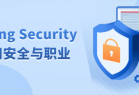 Spring Security应用安全与职业