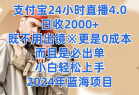 支付宝24小时直播4.0，日收2000+，既不用出镜，更是0成本，而且是必出单，小白轻松上手，2024年蓝海项目