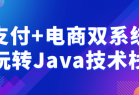 支付+电商双系统玩转Java技术栈