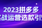 2023拼多多实战运营选款引爆