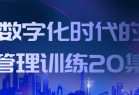 数字化时代的管理训练20集