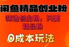 闲鱼筛选精品创业粉，无成本玩法，只引精品粉