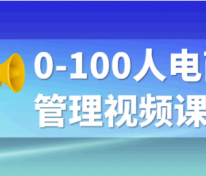 0-100人电商管理视频课程