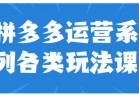 拼多多运营系列各类玩法课