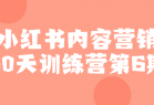 小红书内容营销60天训练营第6期